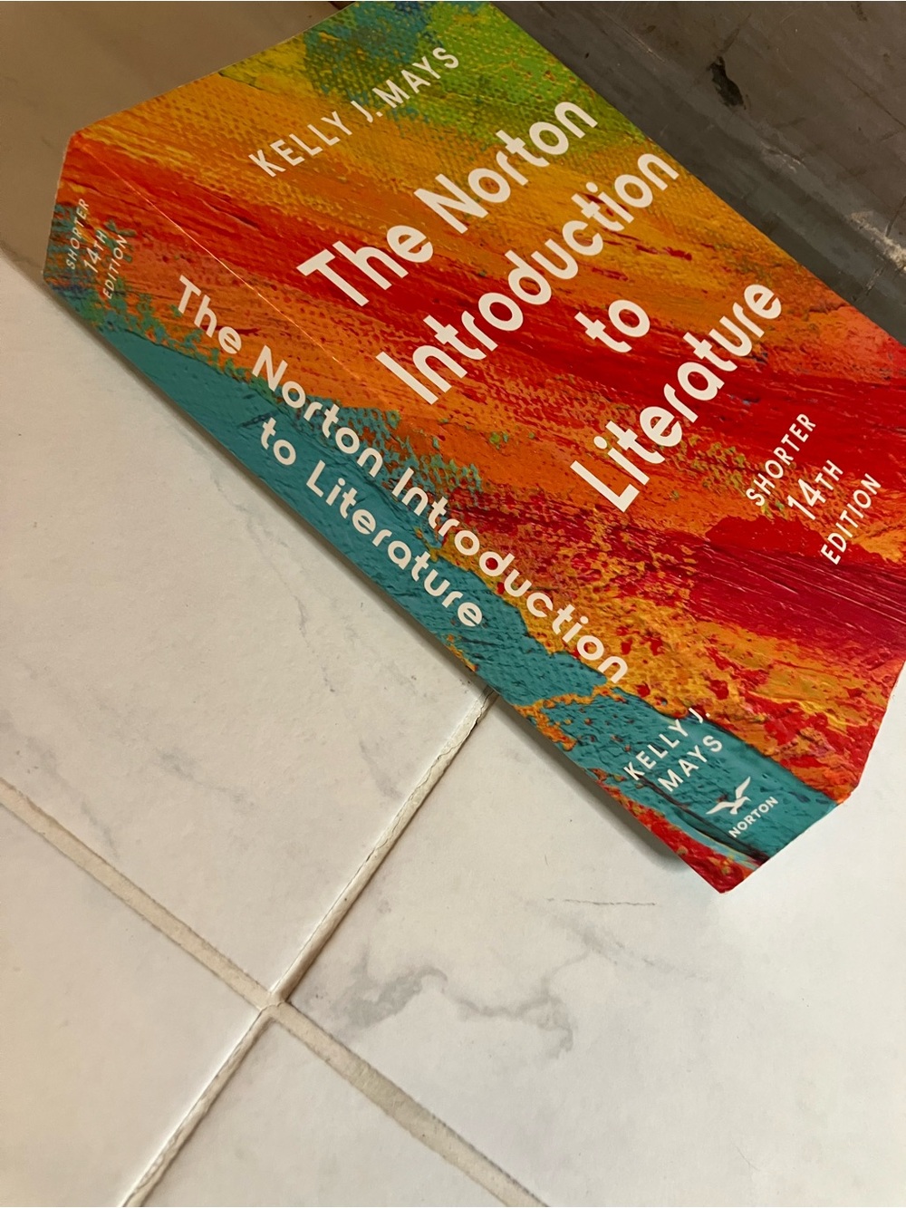 The Norton Introduction to Literature by Kelly J. Mays - Multicolor